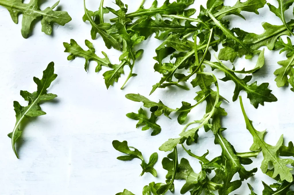 Arugula