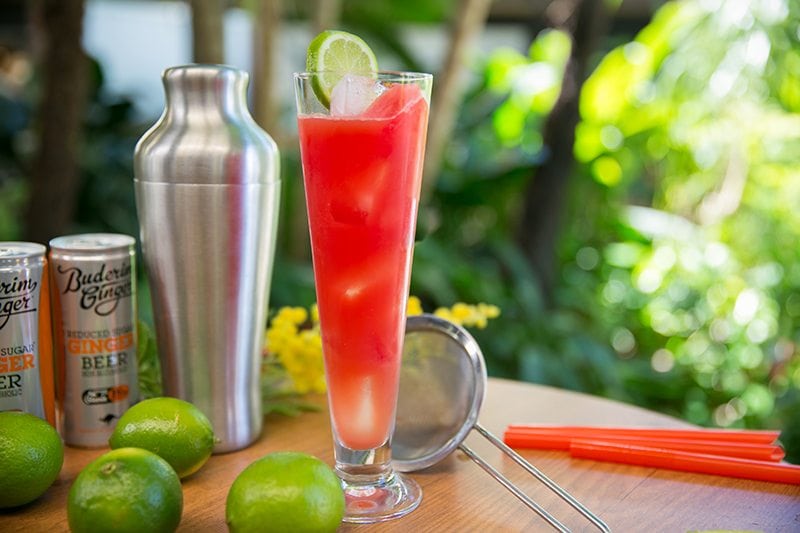 Melonade recipe