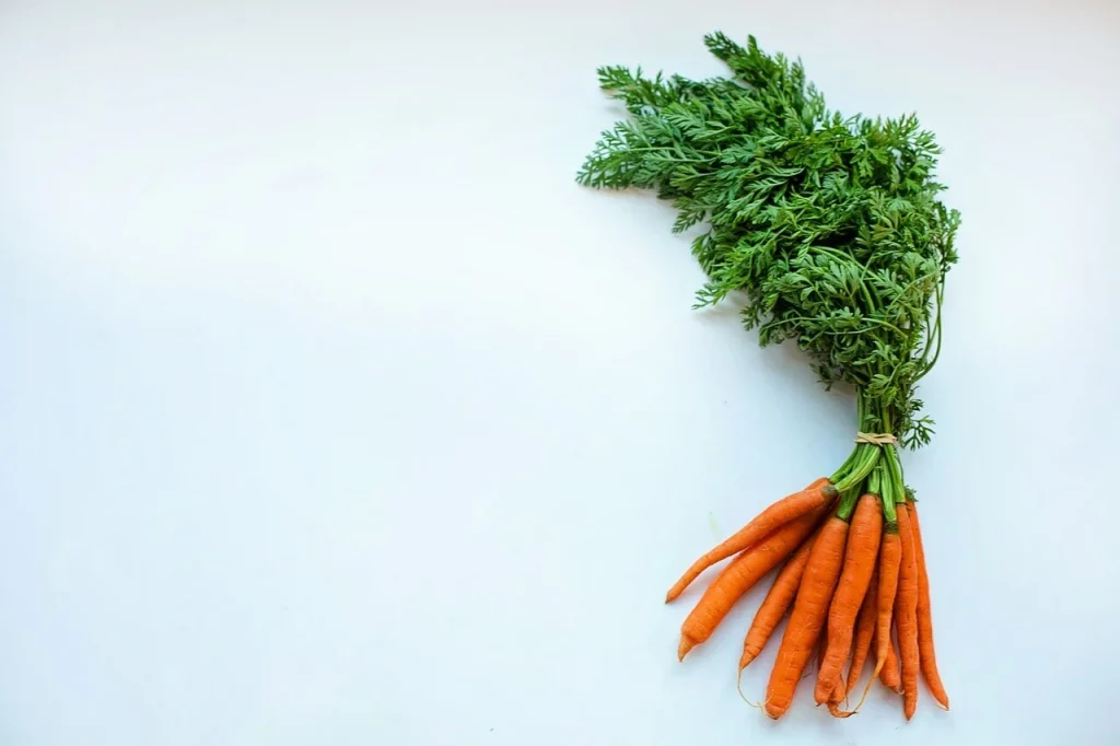 Carrot Greens