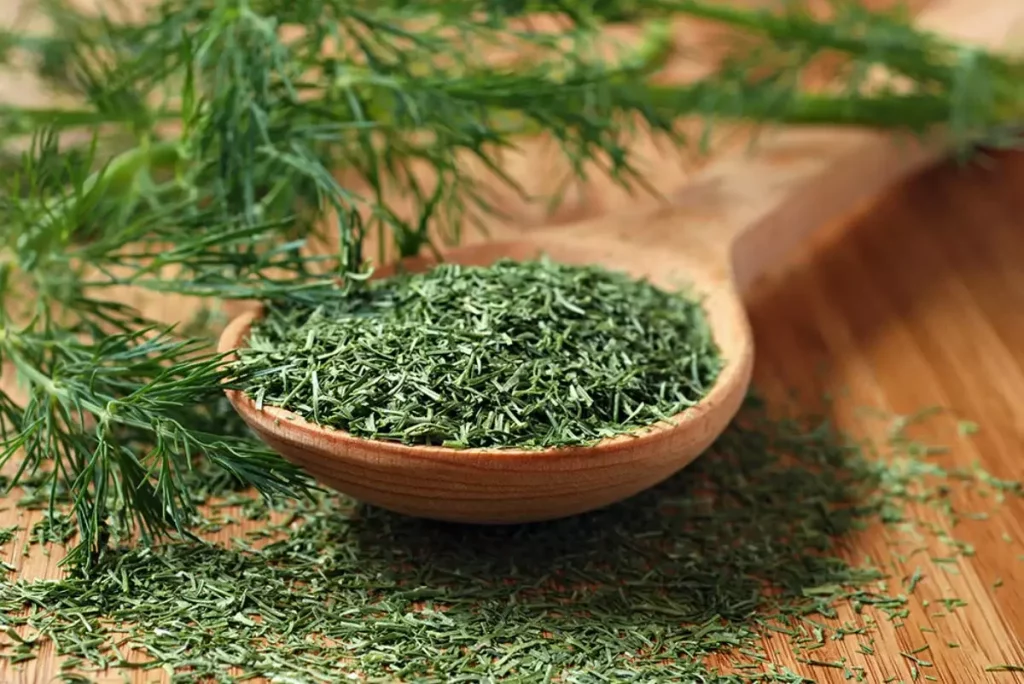 Dill