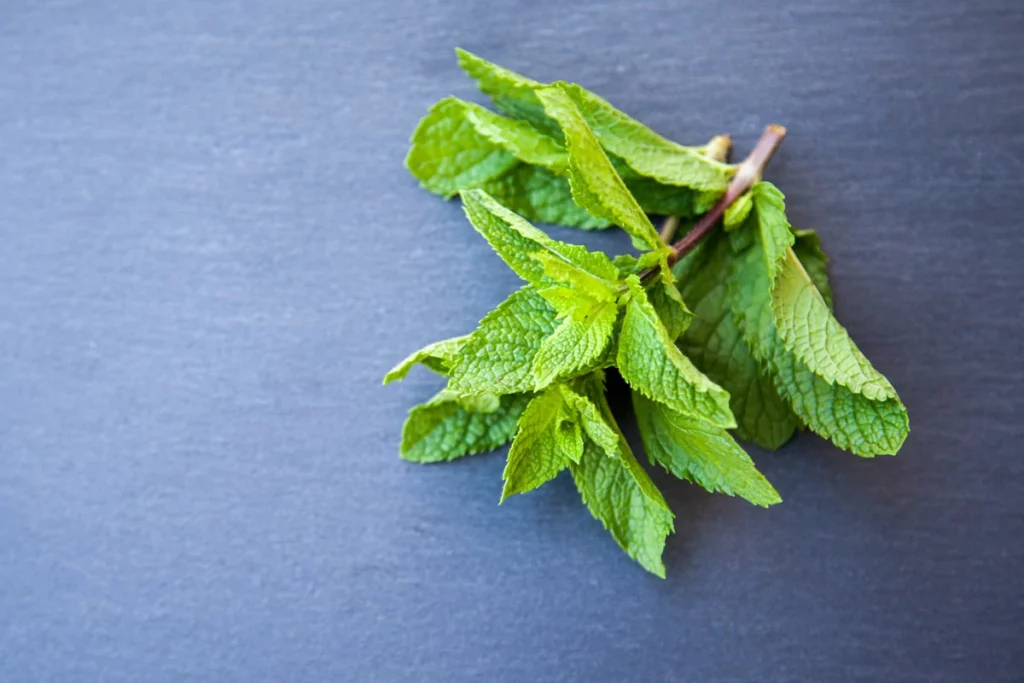 Mint Leaves