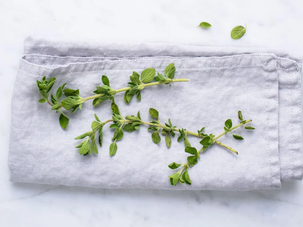 Oregano