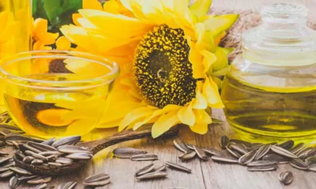 Sunflower Oil