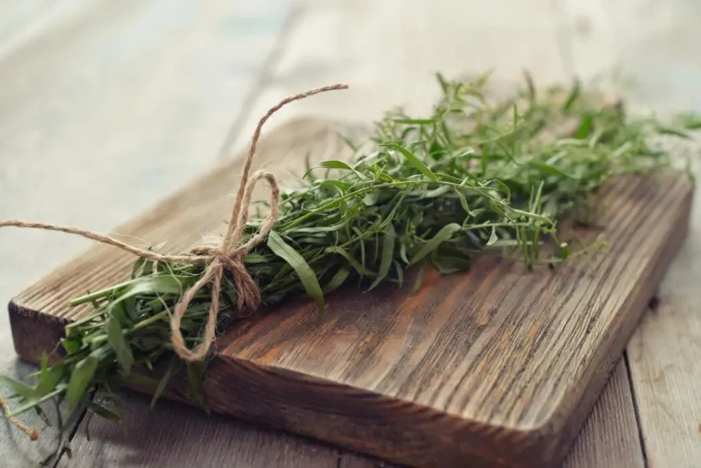 Tarragon