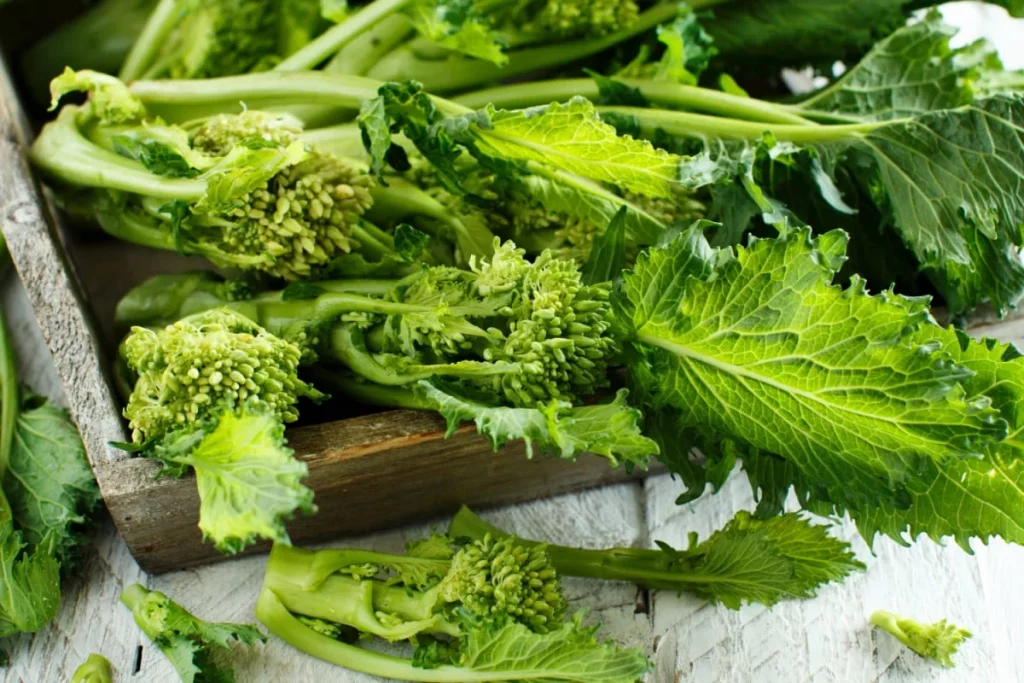 Turnip Greens