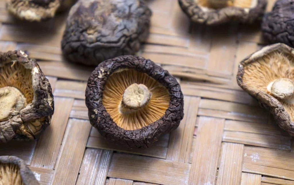 Shiitake Mushrooms