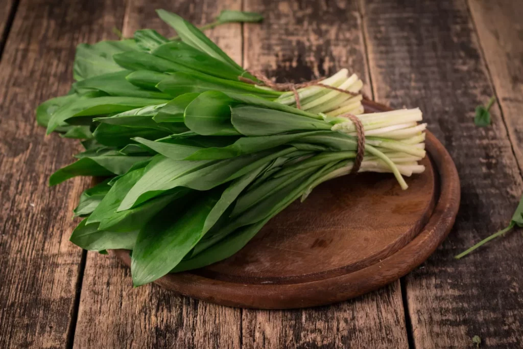 Wild Garlic
