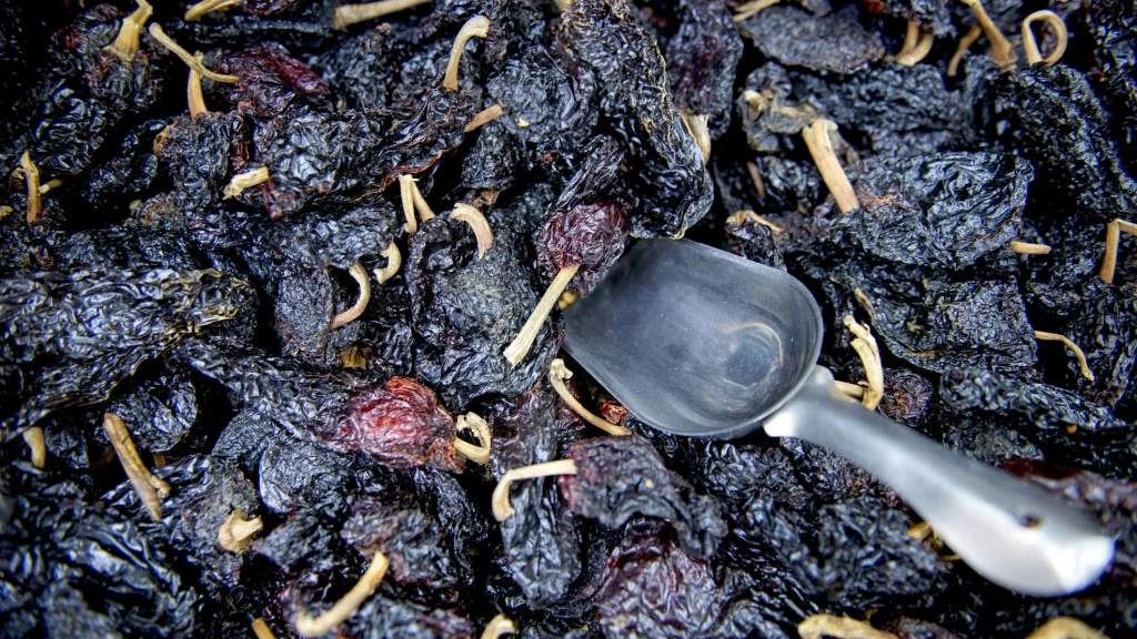 Ancho Chiles