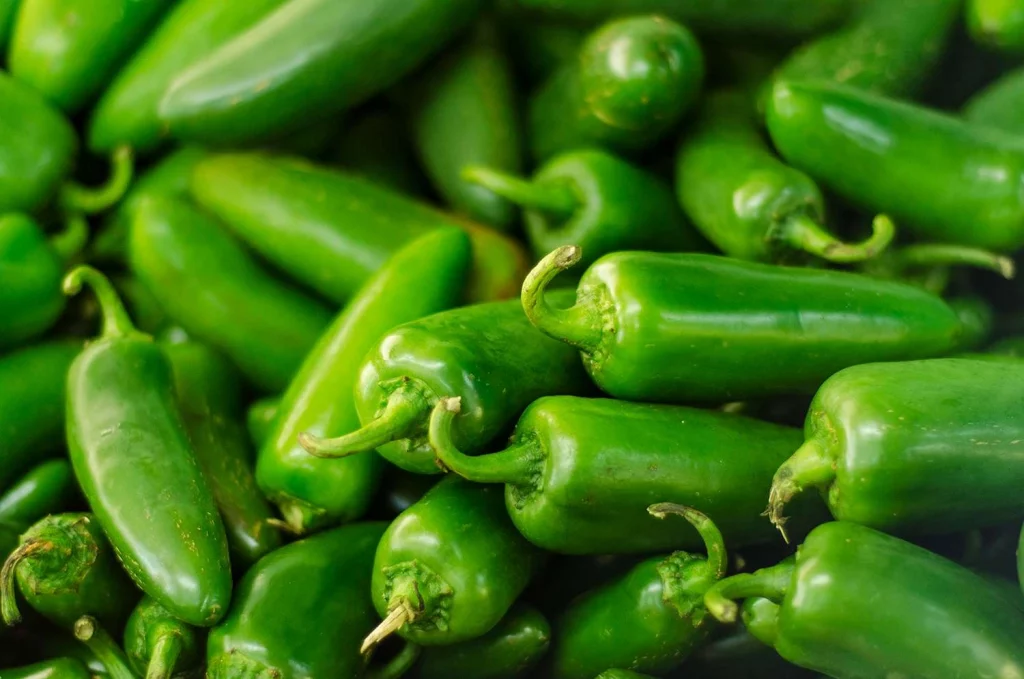 Jalapeno Pepper