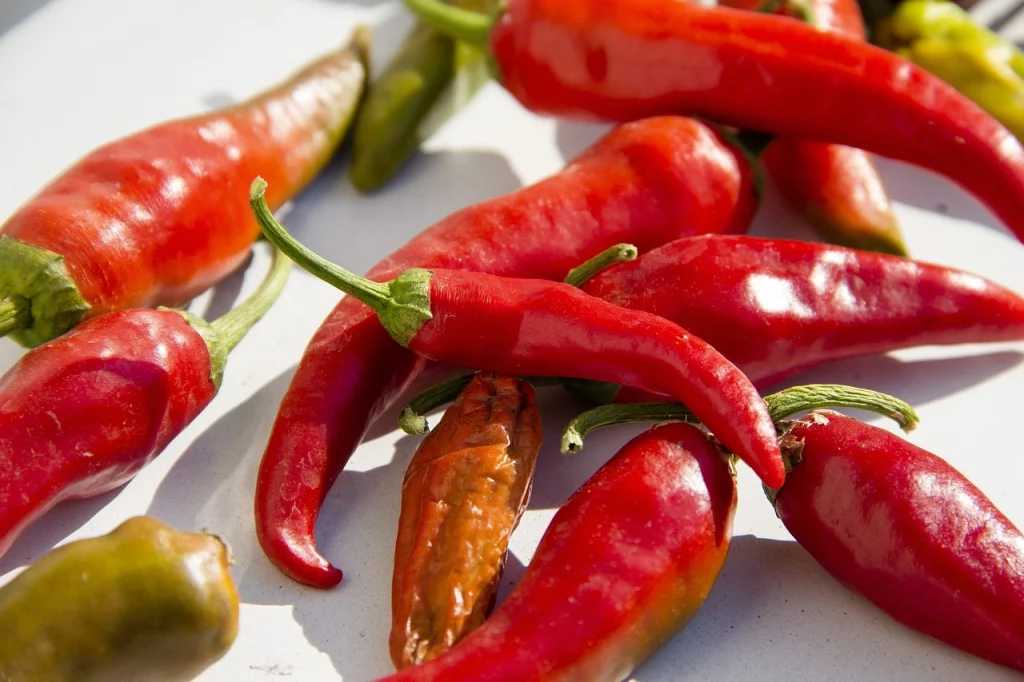 New Mexico Chiles