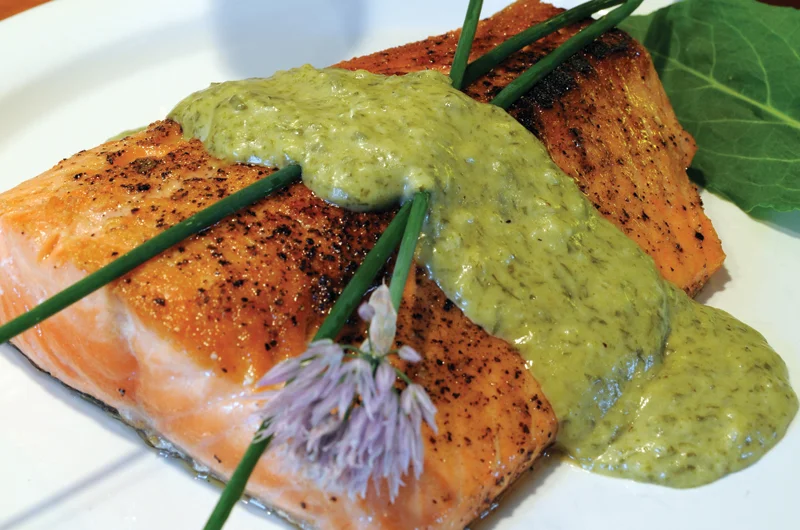 sea bass with sorrel sauce on the top