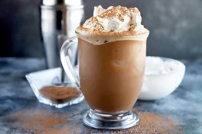 Iced Mocha Cappuccino Recipe 