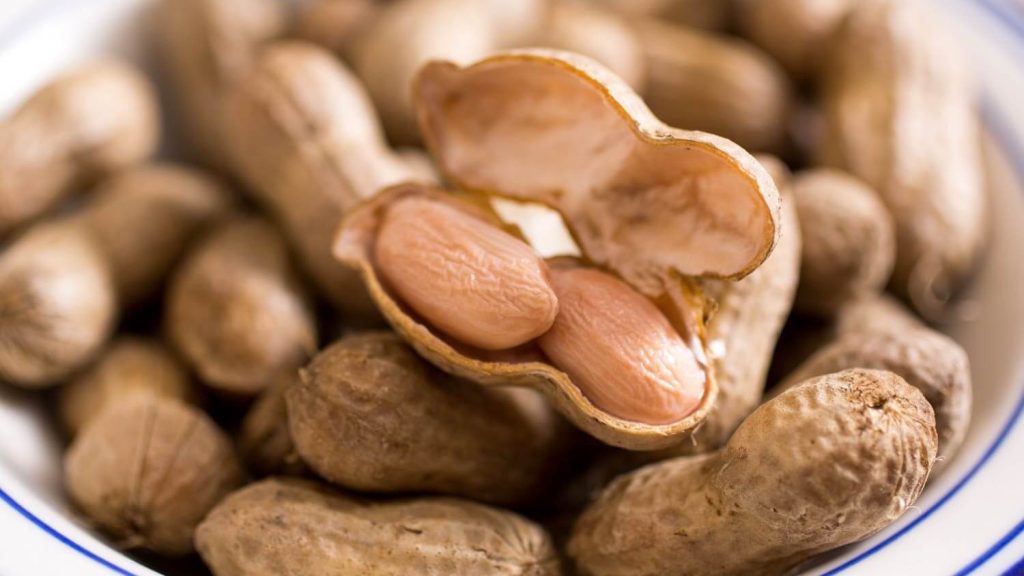 Арахис польза для здоровья. Орех похожий на арахис. Земляной орех миндаль. Миндаль и арахис. Сенегал арахис.