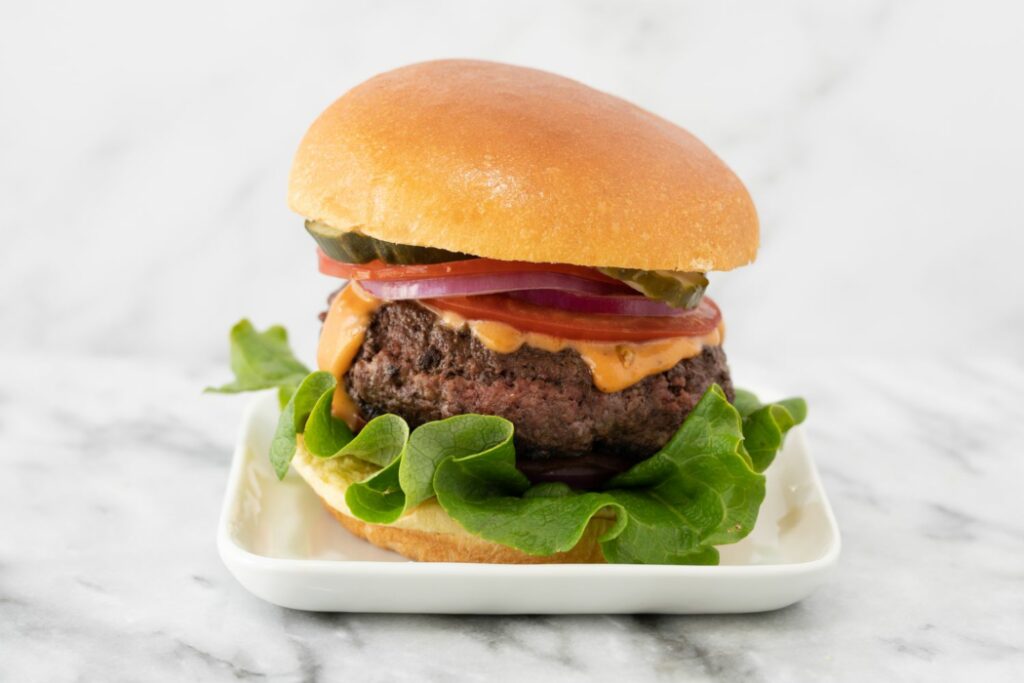 Bison Burger