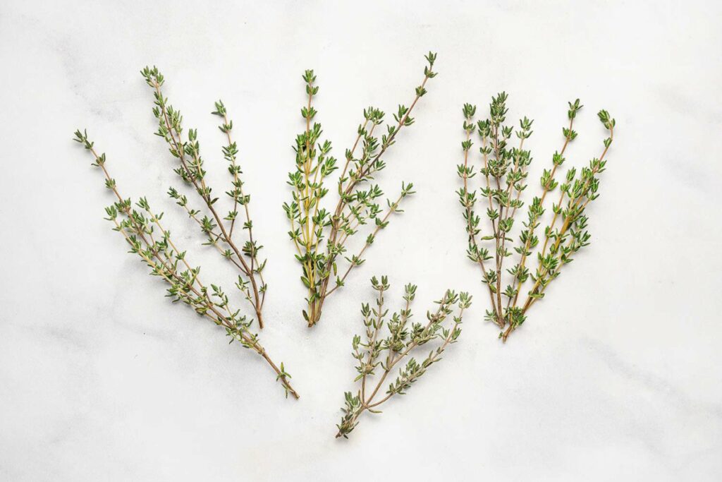 Thyme