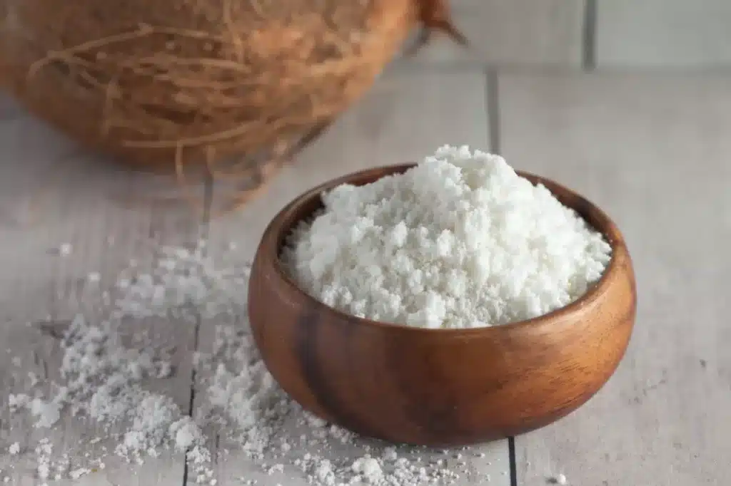 coconut milk powder
