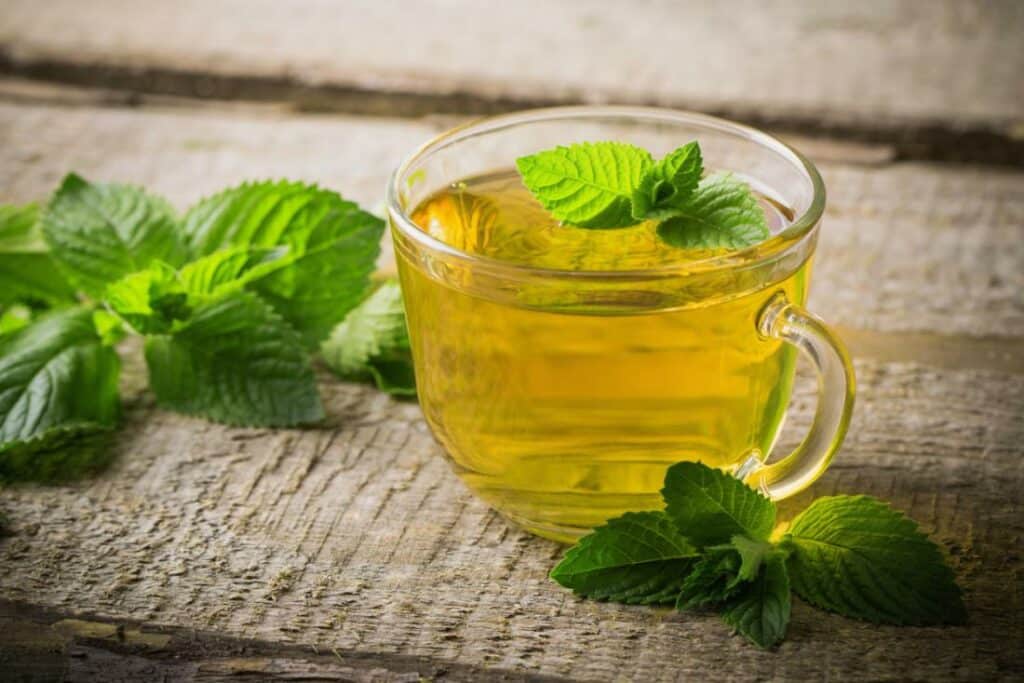 herbal mint tea