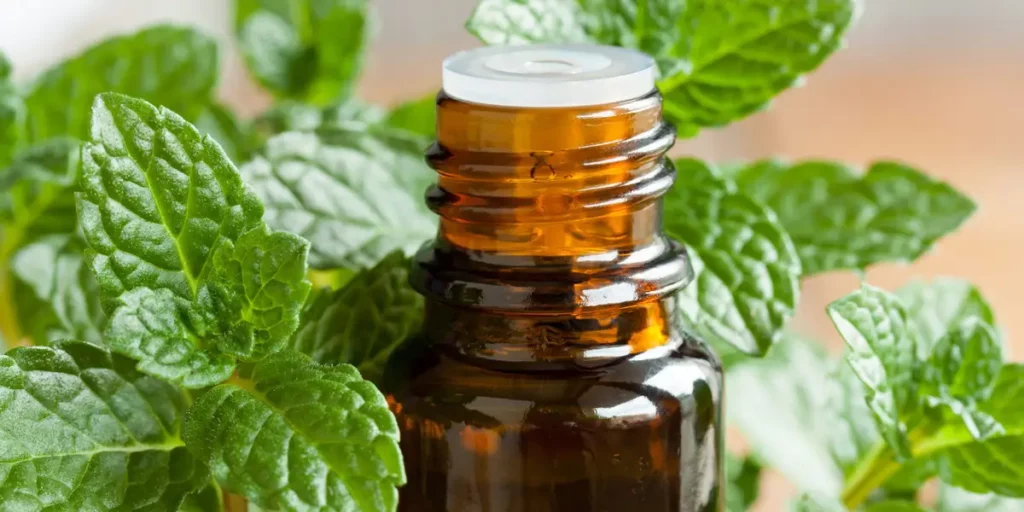 peppermint oil