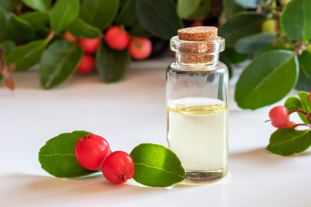 wintergreen extract