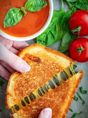 Grilled Cheese Sandwich