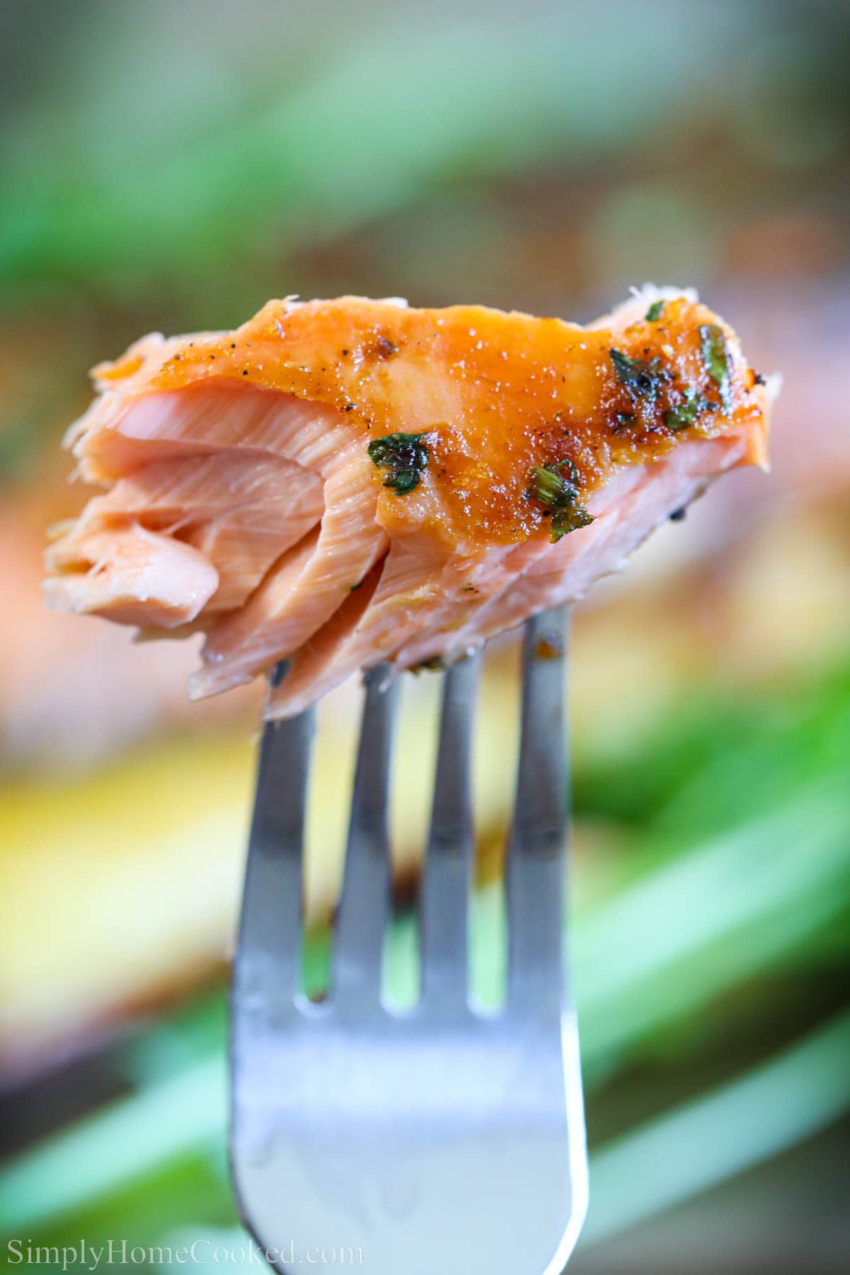 A forkful of Grilled Honey Soy Salmon.