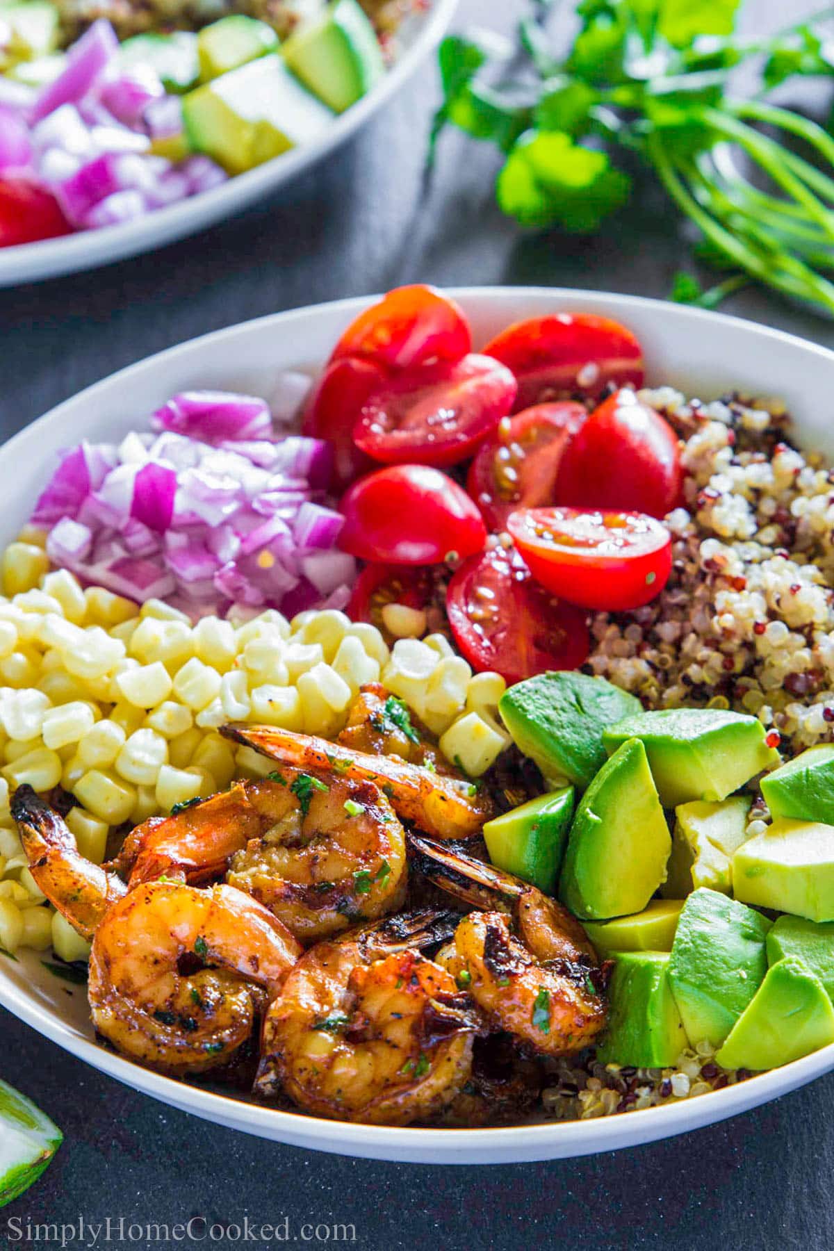 Grilled cilantro lime shrimp with tricolor quinoa and freshly chopped vegetables. This is a true summer delight that is fresh, healthy, and so delicious! #quinoa #shrimpbowls #summerfood #grilledshrimp #shrimprecipe #summerdinner #healthy #lowcarb Shrimp Quinoa Bowl with tomatoes, avocado, quinoa, onion, corn, and shrimp.