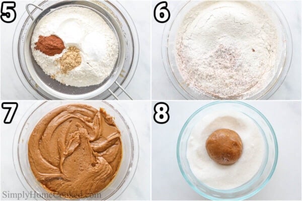 Steps to make Ginger Molasses Cookies: sift in the flour, baking soda, salt, ginger, and cinnamon, then chill the dough. Later, scoop the dough out, roll it in a ball, and cover it with sugar.